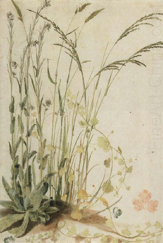 unknow artist Grasses china oil painting image